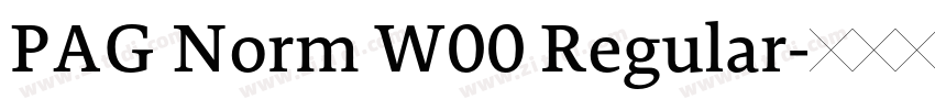 PAG Norm W00 Regular字体转换